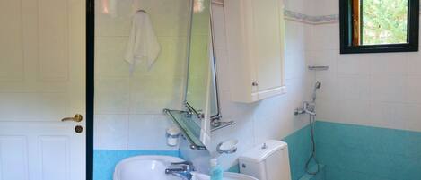 Shower, hair dryer, towels