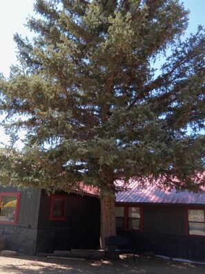 Exterior - The Gold Pan Motel (Eagle Nest)
