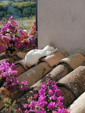 المنطقة المحيطة بالمنشأة