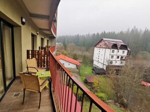 Balcony view - Atrium Mountain View (Predeal)