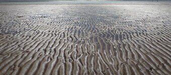 House in Barbâtre on the Ile de Noirmoutier. Wifi La Cheminée 56 m2 --------