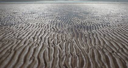 House in Barbâtre on the Ile de Noirmoutier. Wifi La Cheminée 56 m2 --------