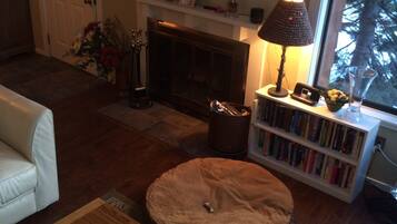 TV connectée, cheminée, lecteur de DVD, livres