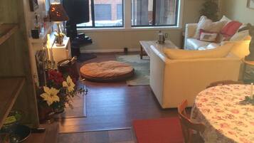 Een smart-tv, een open haard, een dvd-speler en boeken