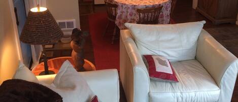 Smart TV, fireplace, DVD player, books