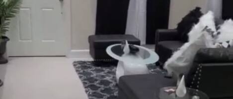 2 makuuhuonetta, silitysrauta/-lauta, ilmainen Wi-Fi, vuodevaatteet