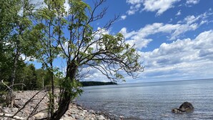 A rocky shoreline with a tree and calm water.