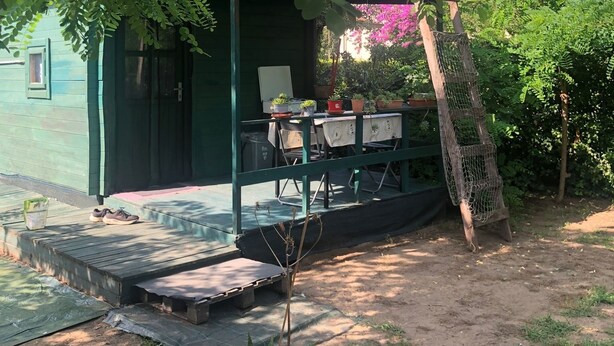 Un espace extérieur aménagé, abrité et doté d’une table et de chaises, entouré de verdure et agrémenté d’une petite plante en pot.