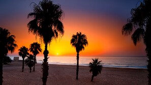 Accommodatie ligt op het strand