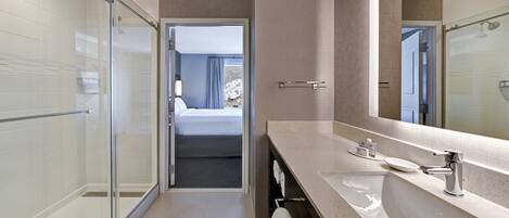 Un baño moderno con cabina de ducha de vidrio, un lavamanos grande y un espejo.