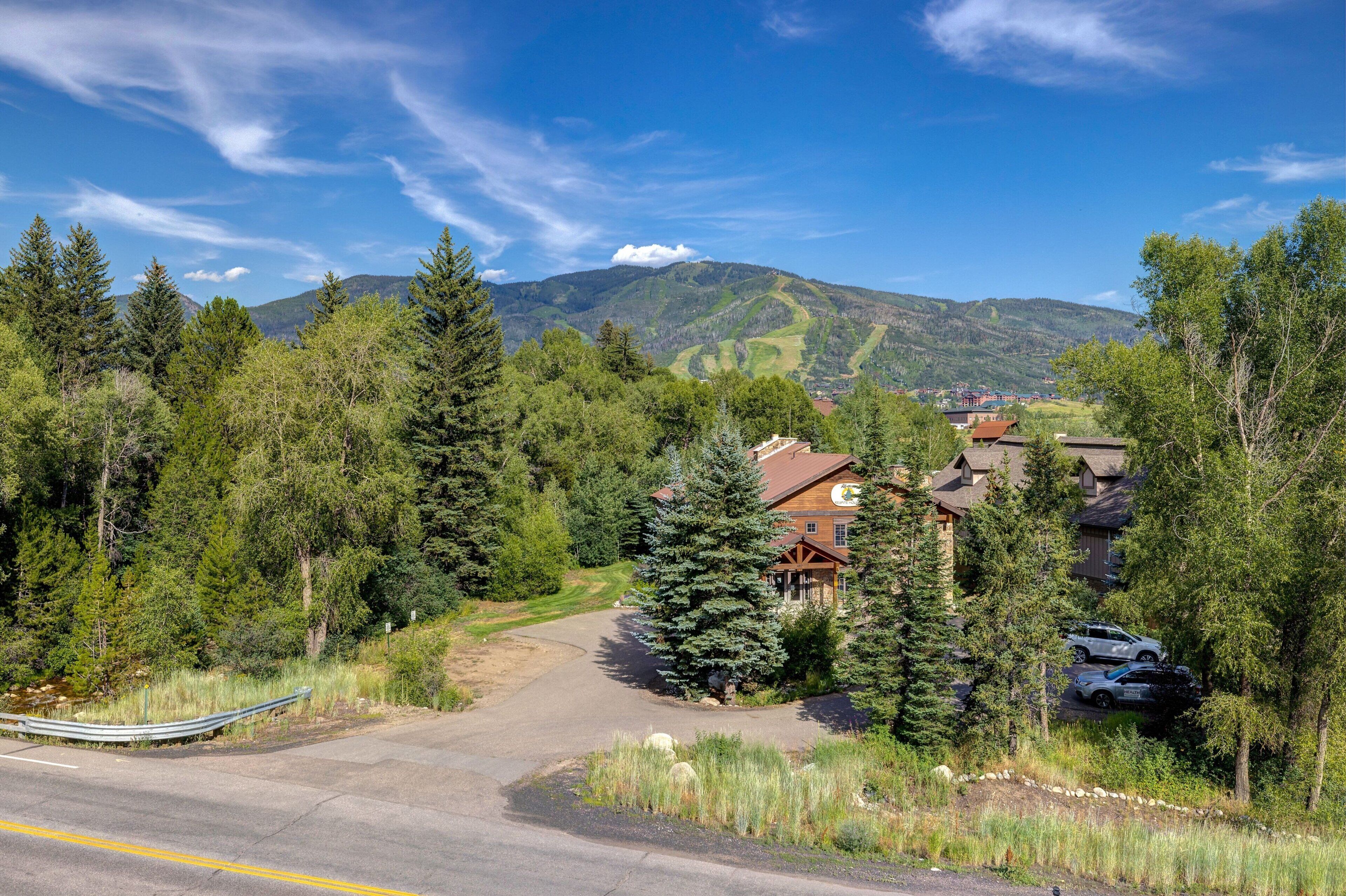 A mountain lodge with a driveway leading to a parking area, surrounded by dense forest and a clear blue sky.