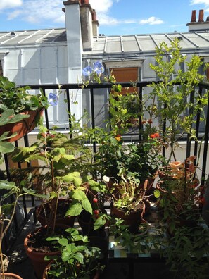 Terrain de l’hébergement 