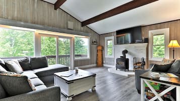TV, fireplace, streaming services, music library