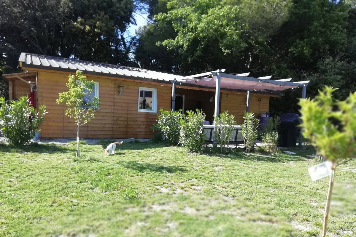 Familienchalet, barrierefrei, eigenes Bad | Außenbereich