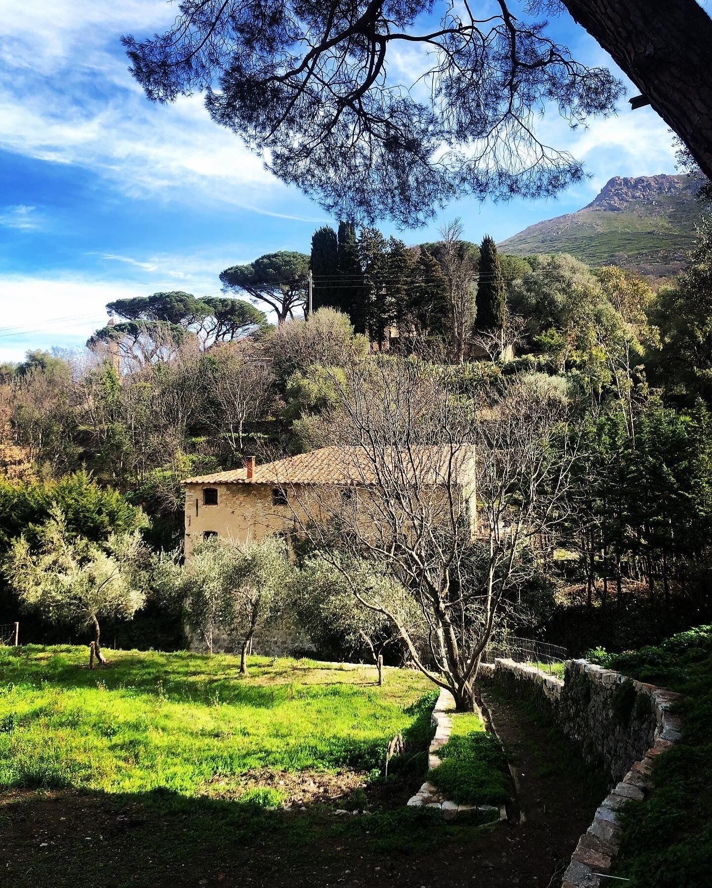 A rustic stone building surrounded by lush greenery and a clear sky.