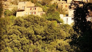 Complejo de edificios en una ladera, rodeado de abundante vegetación.