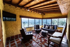 Una televisión, una chimenea