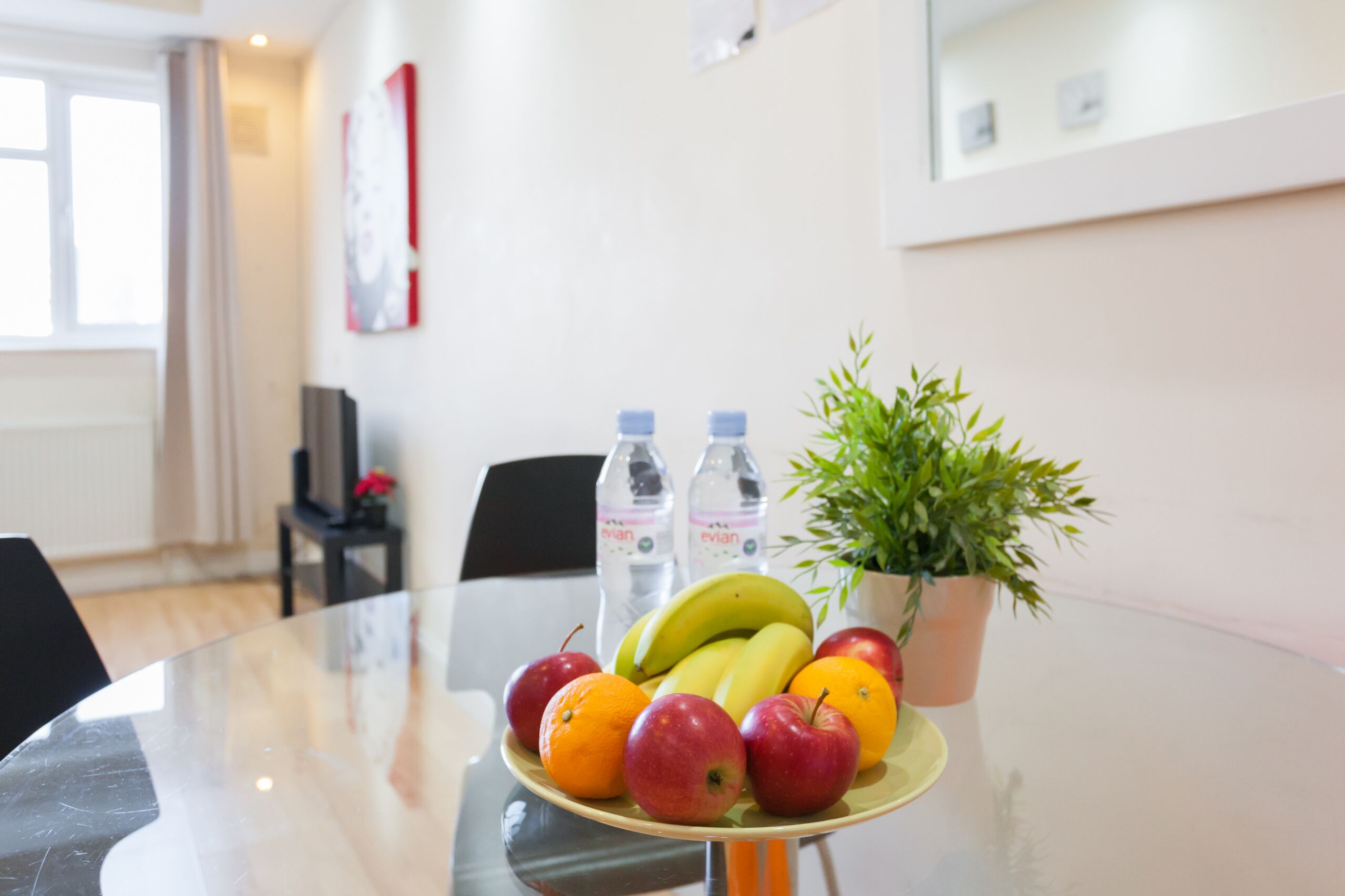 Photo - Budget Apartment Next to Kings Cross - Eurostar