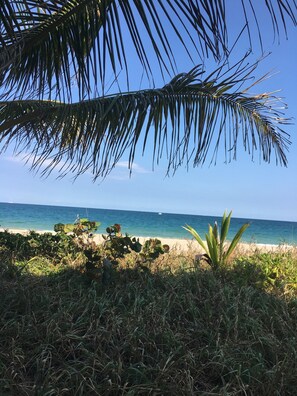 Aan het strand, ligstoelen aan het strand, strandlakens