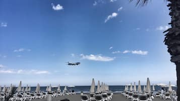 位於海灘上、8 間海灘酒吧