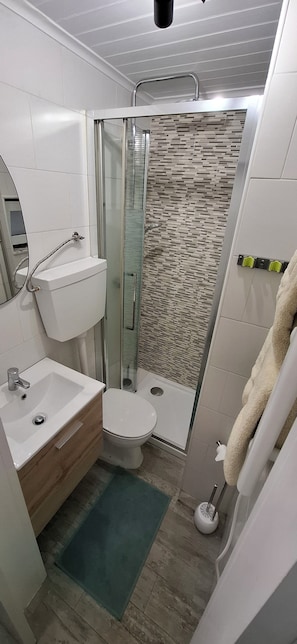 Shower, hair dryer, towels