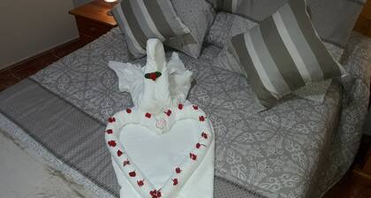 House the grandparents 1 the schooner