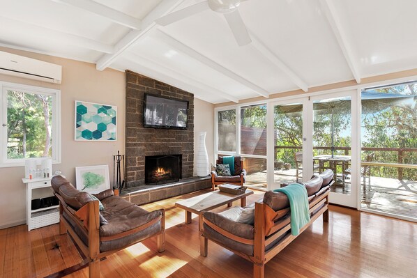Smart TV, fireplace, video games, toys