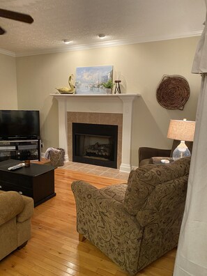 Smart TV, fireplace, books