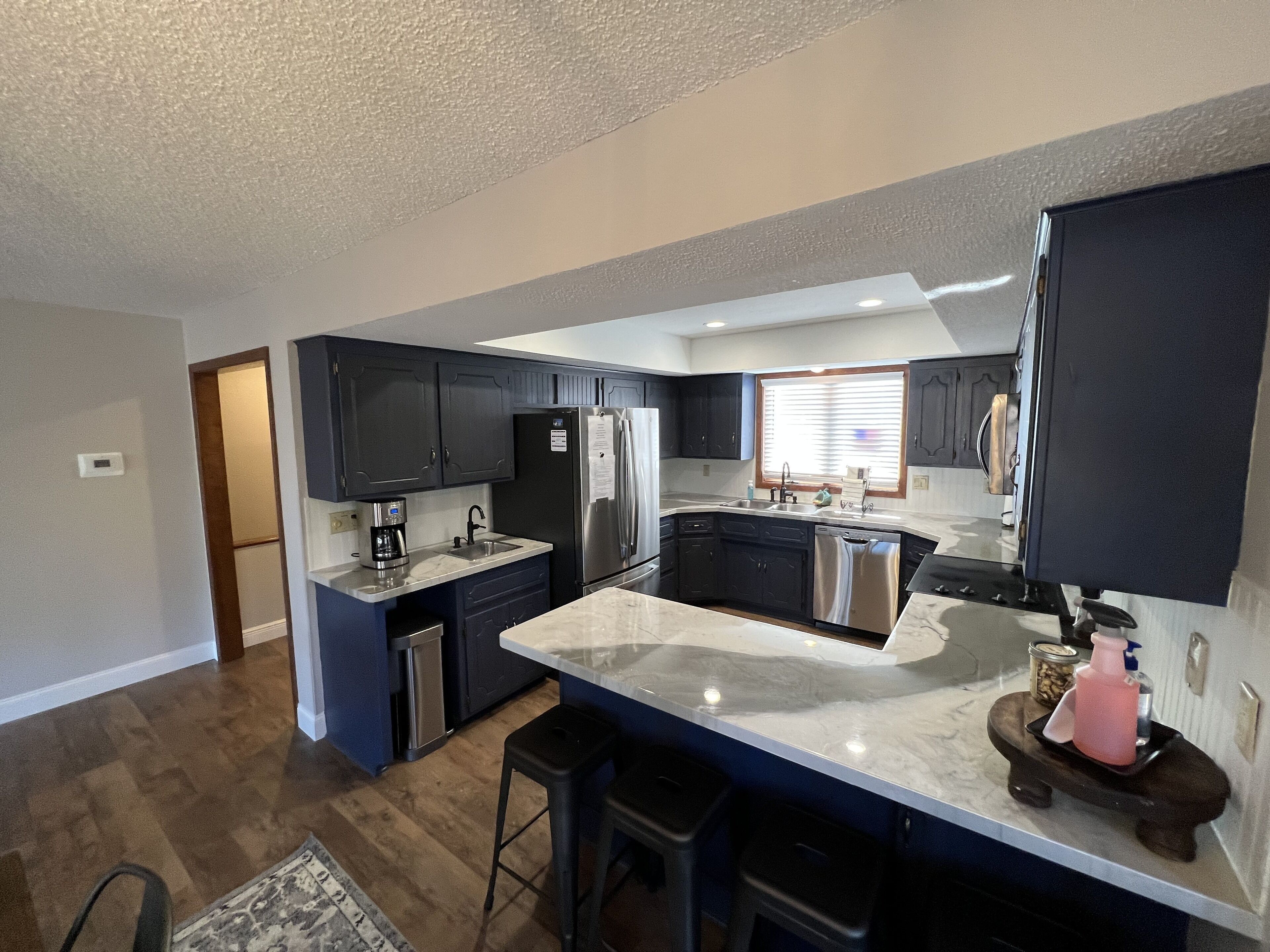 Large, Newly renovated Condo.