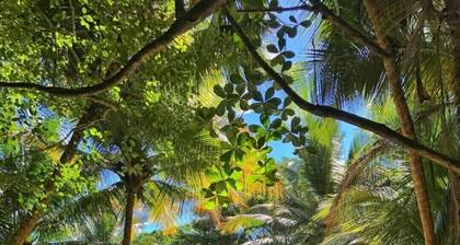 "Vistamar Maunabo" apartment is a home away from home . Amazing ocean views.