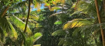 "Vistamar Maunabo" apartment is a home away from home . Amazing ocean views.