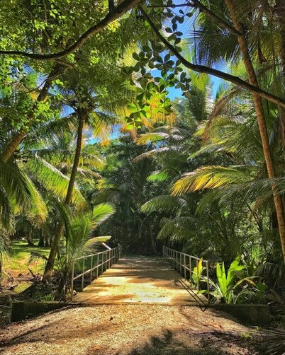 "Vistamar Maunabo" apartment is a home away from home . Amazing ocean views.