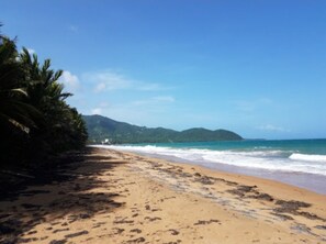 On the beach, sun loungers, beach towels