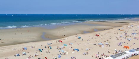 Una playa cerca, pesca