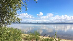 Ein ruhiger See mit sandigem Ufer, umgeben von viel Grün und wolkenlosem Himmel.