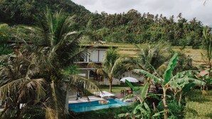A pool area with lounge chairs and umbrellas, surrounded by palm trees and a view of a hillside with dense vegetation. - Natural View Sidemen Cottage (Sidemen)