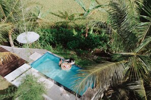 An aerial view of a private swimming pool surrounded by lush greenery and palm trees. - Natural View Sidemen Cottage (Sidemen)
