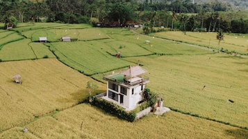 Vista desde la propiedad