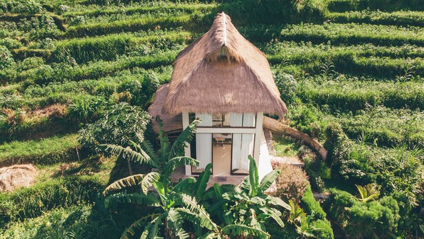 A thatched-roof house surrounded by lush green fields. - Natural View Sidemen Cottage (Sidemen)