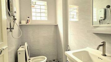 Shower, hair dryer, bidet, towels