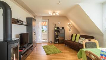 Fernseher, Stereoanlage