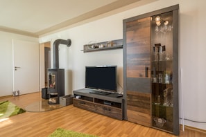 A modern living room with a flat-screen TV, a built-in fireplace, and a glass cabinet with decorative items.
