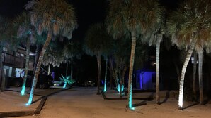 A nighttime street with palm trees and a building in the background.