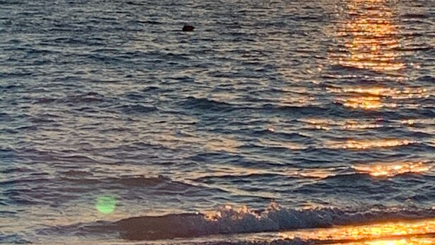 A sunset over a calm sea with a distant boat and a sandy beach.