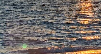 LOCATED ON THE KEY! DOG FRIENDLY!