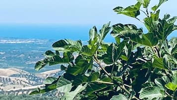 海滩