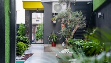 Vista desde la habitación