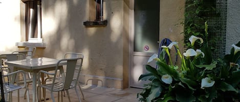 Terraza o patio