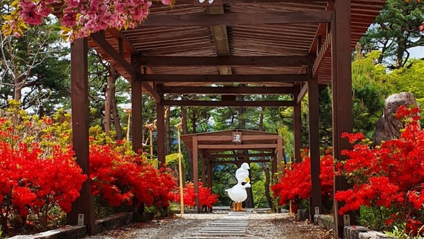 A wooden pavilion with a sign, surrounded by red and pink flowers.
