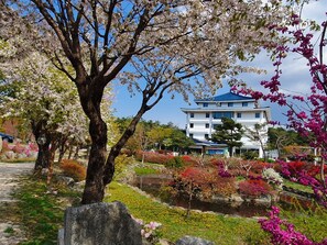 Garden - Cheoksan Spatel (Sokcho)
